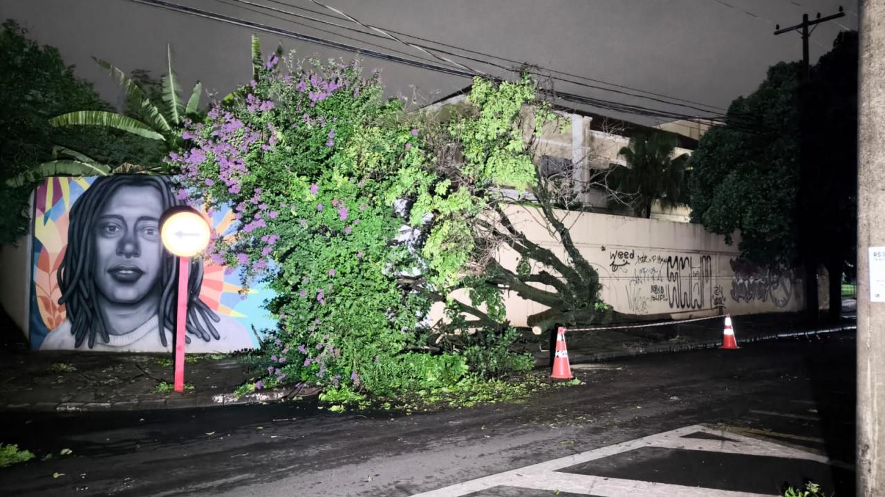 Foto 54 de 67 — TEMPORAL EM FOTOS: veja imagens de destruição em Araraquara